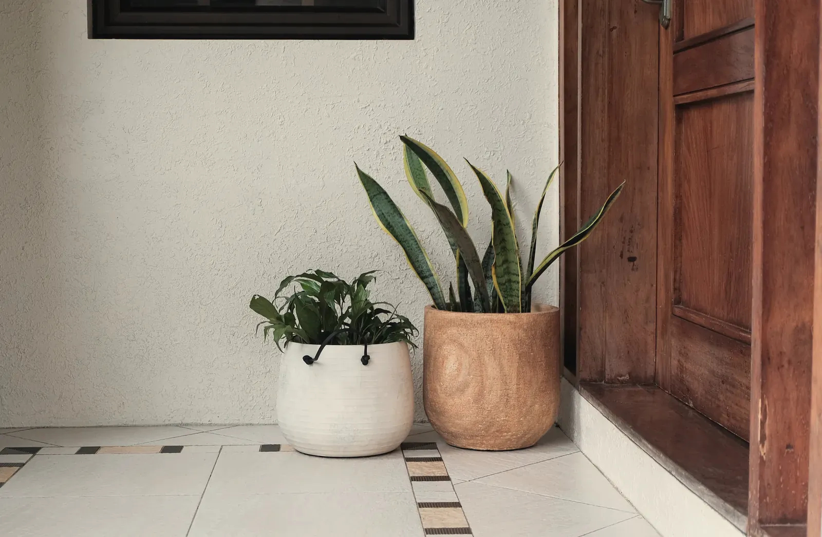 Planters in a hallway beside a carved wooden door